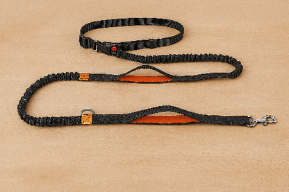 Canicross orange