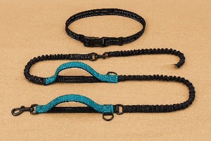 canicross noir turquoise