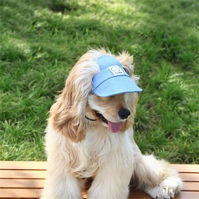 Casquette chien​ bleu denim parc