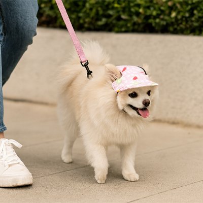 Casquette chien​ bleu denim small