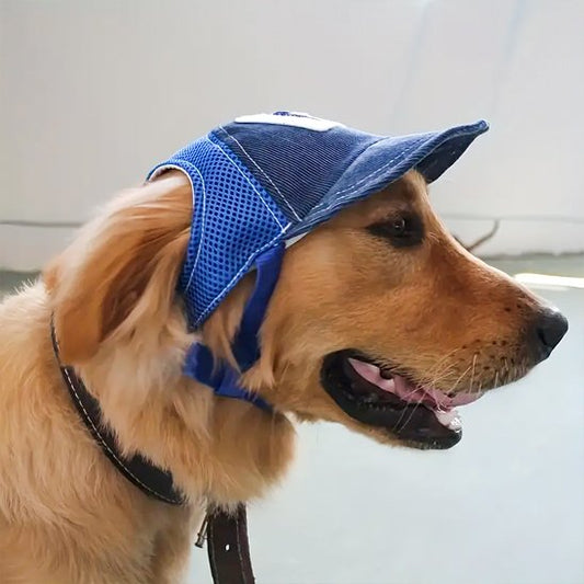 Casquette chien​ bleu Golden retriever
