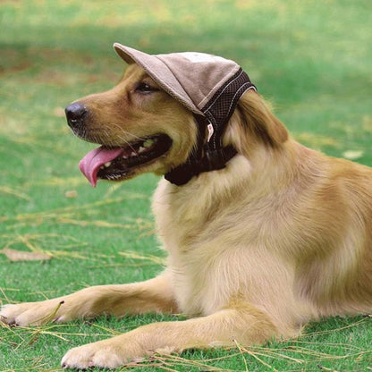 Casquette chien​ cafe Golden au parc