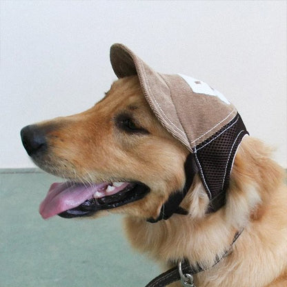 Casquette chien​ cafe Golden 