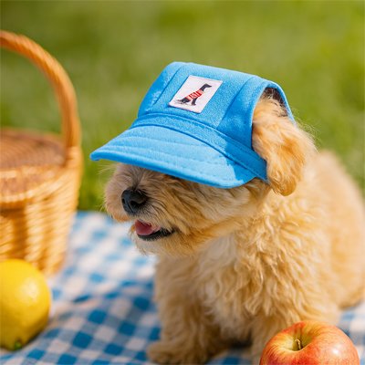 Casquette chien​ pro bleu