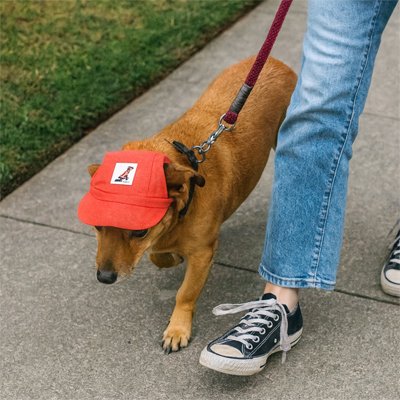 Casquette chien​ pro rouge