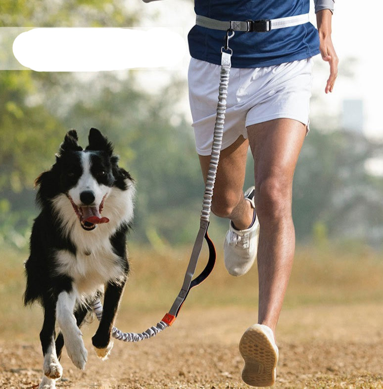 ceinture main libre chien noir