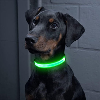 collier vision lumineux vert chien sage