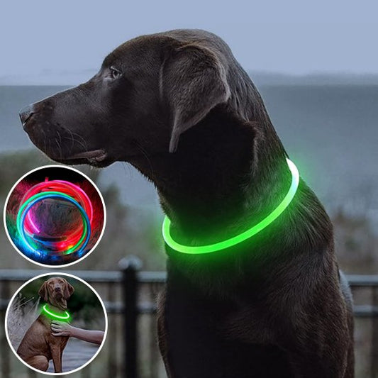 Collier chien lumineux produit vert