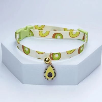 Collier chiot avocat et Kiwi
