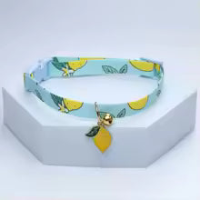 Collier chiot bleu et citron