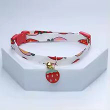 Collier chiot fraise