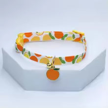 Collier chiot orange
