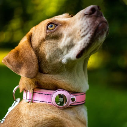 collier gps chien trackerpro couleur de couleur rose