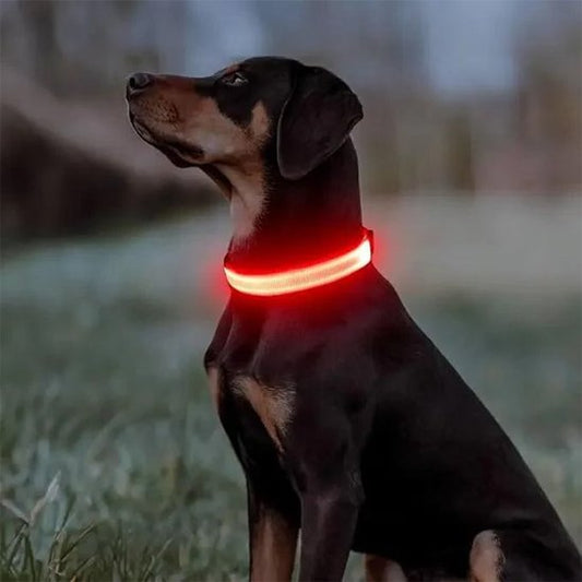 Collier lumineux pour chien rouge