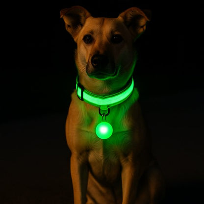 Collier lumineux vert