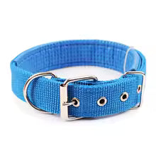 collier pour chien nomade bleu