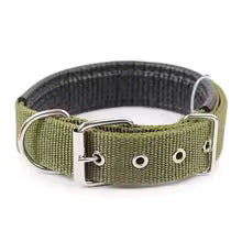 collier pour chien nomade kaki