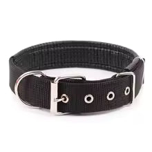 collier pour chien nomade noir