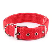 collier pour chien nomade rouge