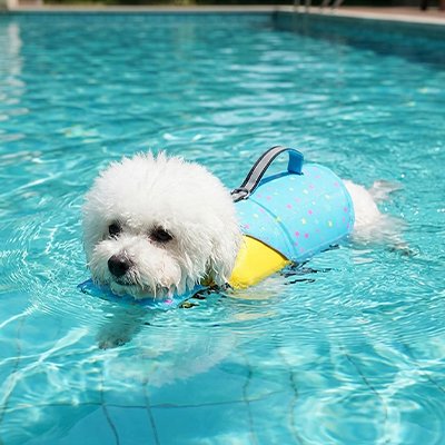 Gilet de sauvetage Chien bleu piscine