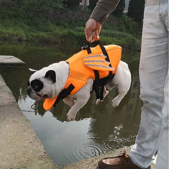 Gilet de sauvetage chien poisson volant orange