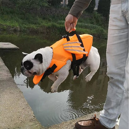 Gilet de sauvetage chien poisson volant orange