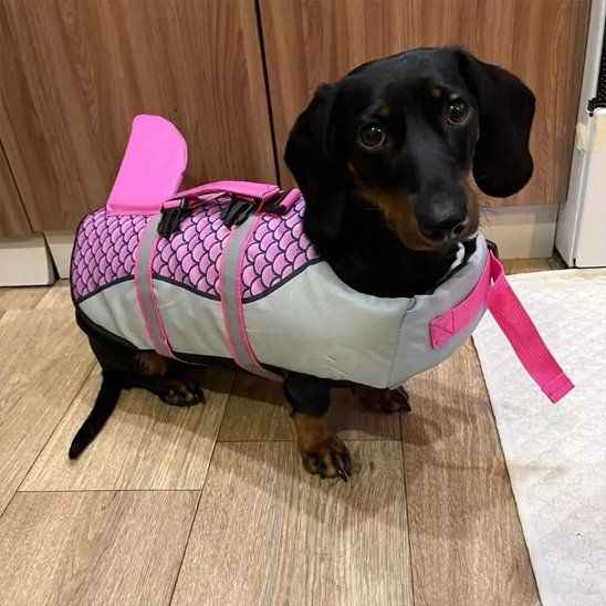 Gilet de sauvetage chien requin chien caniche produit rose
