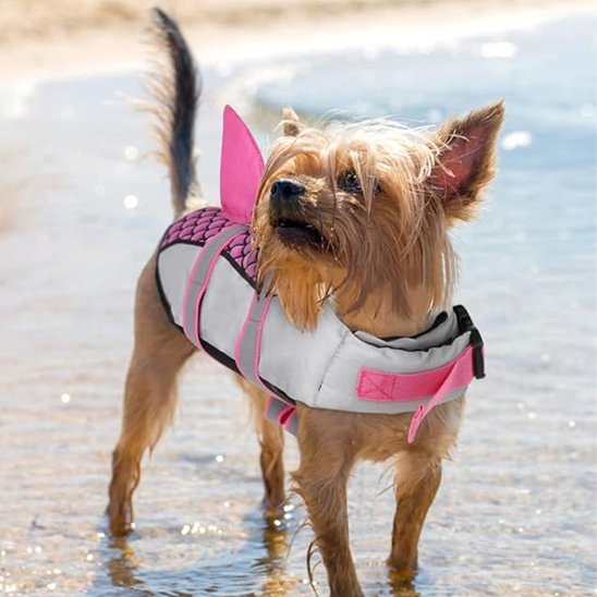Gilet de sauvetage chien requin chien chiouaoua