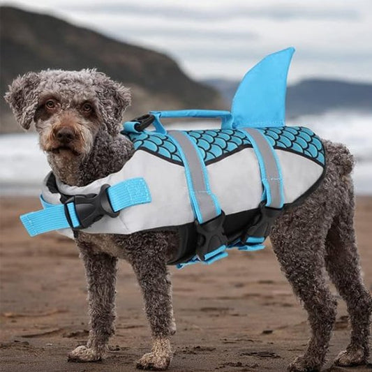 Gilet de sauvetage chien requin chien plage 
