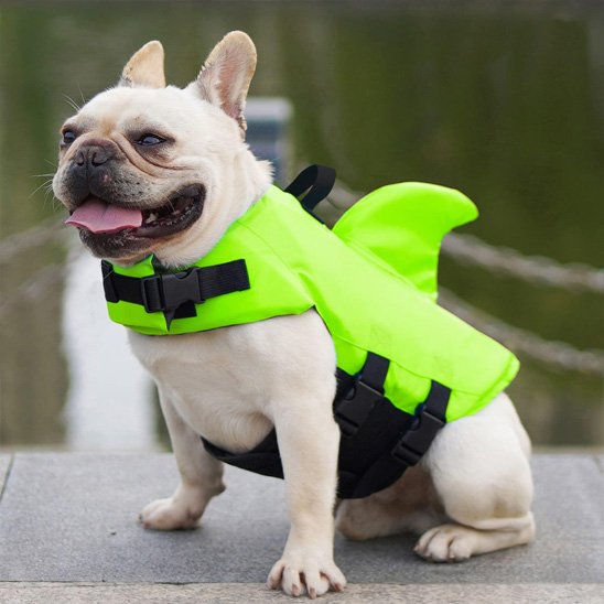 Gilet de sauvetage chien Requin ludique bouledogue assis vert