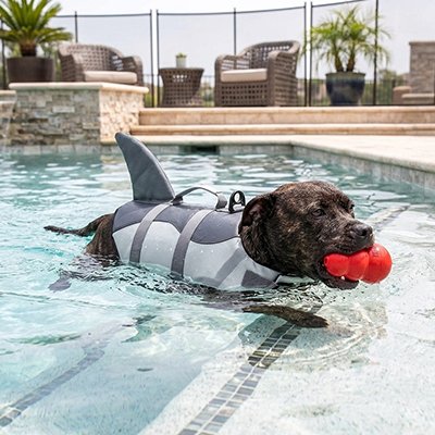 Gilet de sauvetage Chien requin 