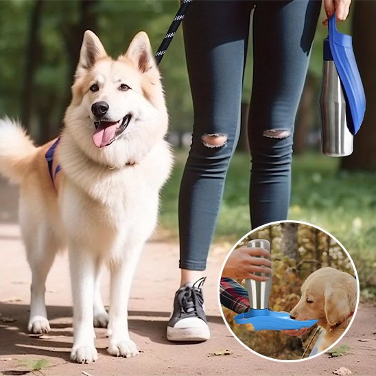 Gourde chien chic et zen pour chit ou pour chien adulte en inox