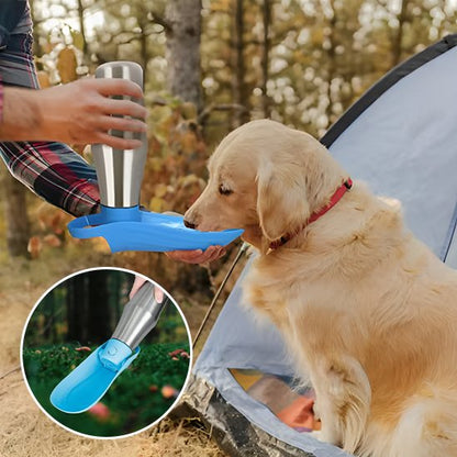 Gourde chien chic et zen en inox chiot en camping qui boit 