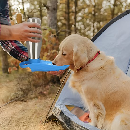 Gourde chien chiot qui boit en camping
