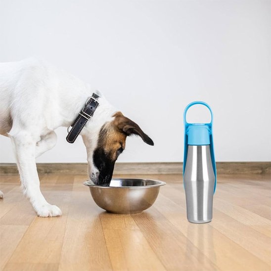 Gourde chien en inox petit copain poilu qui boit