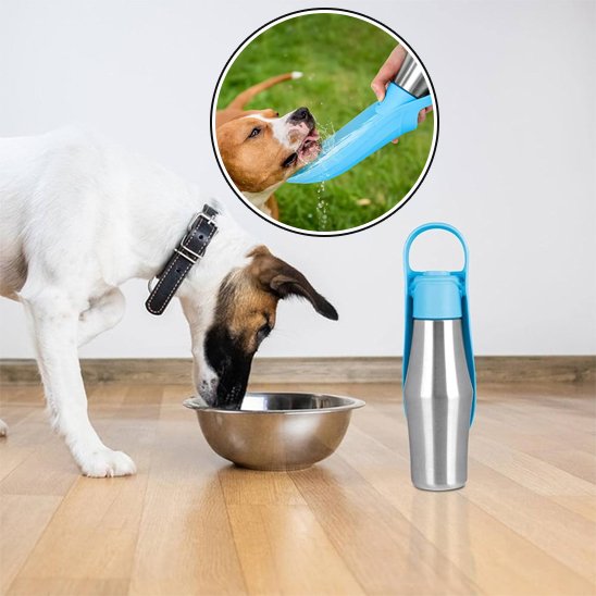 Gourde chien chic et zen n inox coupole intégré turquoise