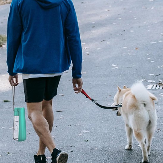 Gourde chien compact ballade Akita avec son maitre