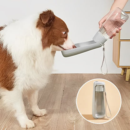 Gourde chien compact border gris produit