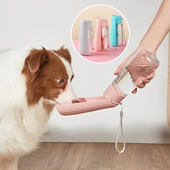 Gourde chien compact border produits