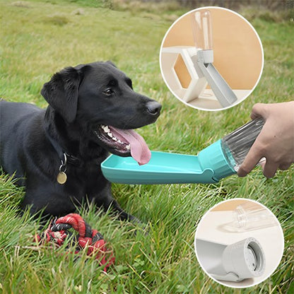 Gourde chien compact produit bleu