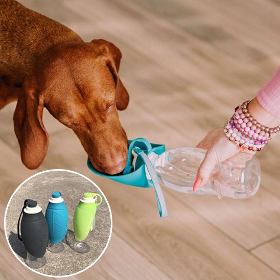 Gourde chien couleurs demo produit
