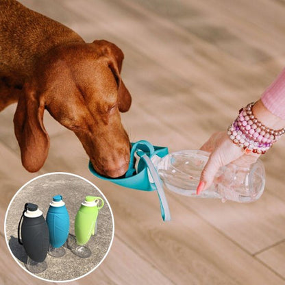 Gourde chien couleurs demo produit