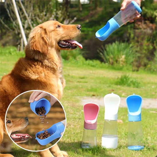 Gourde chien demonstration des compartiments et couleurs