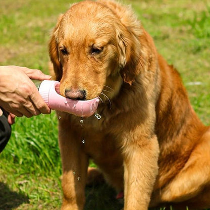 Gourde chien golden qui boit allegrement