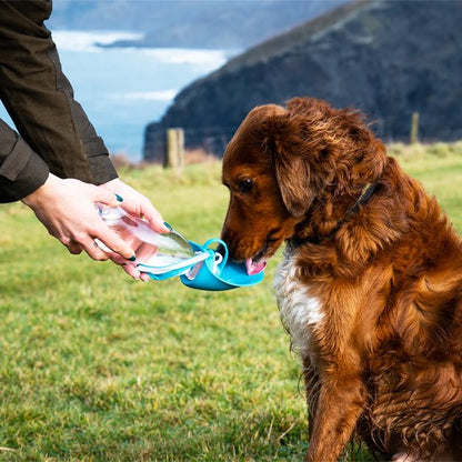 Gourde chien montagne gros chien boit