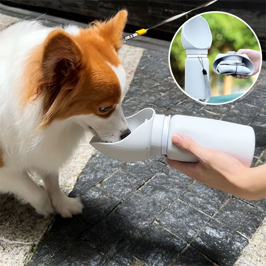 Gourde chien réservoire pliable lorsque vide