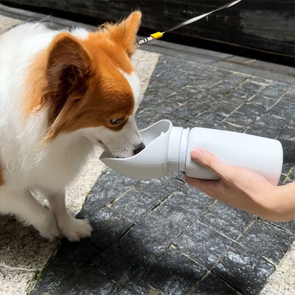 Gourde chien pekinois qui boit