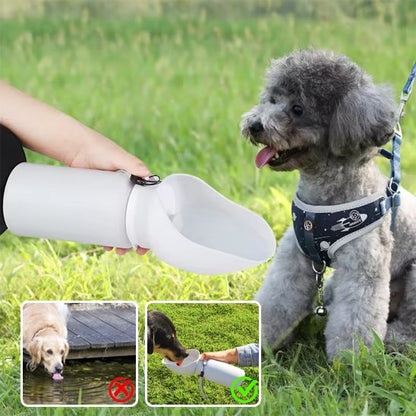 Gourde chien pliable caniche en ballade