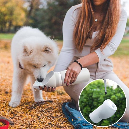 Gourde chien pliable chiot nordique qui boit