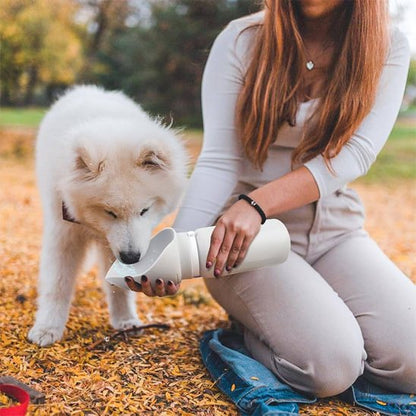 Gourde chien pliable chiot nordique blanc qui boit